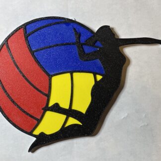 Volleyball