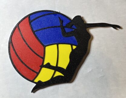 Volleyball